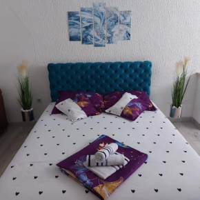 Apartman u centru 1